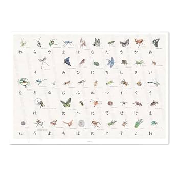 あいうえおページ あいうえおカード ：いもとようこ／よこたきよし - 金の星社