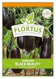 FLORTUS 2000-0491-100x Aubergine Black Beauty (100 Stück) (Auberginensamen)