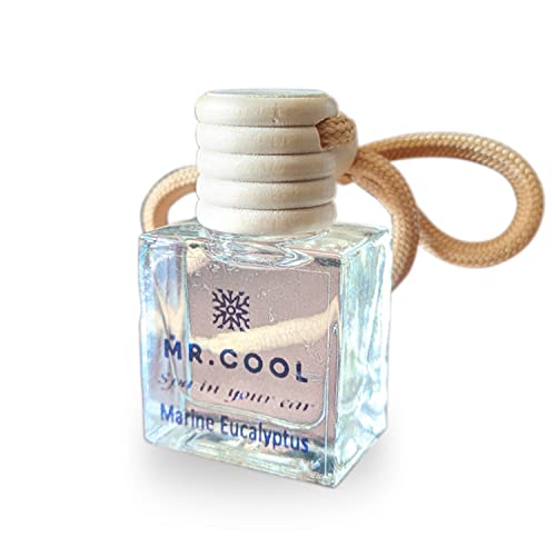MR. COOL SPA in your Car- Air Freshener Organic a Stress Relief Car Air Freshener-10ml Oil Freshener (MARINE EUCALYPTUS)