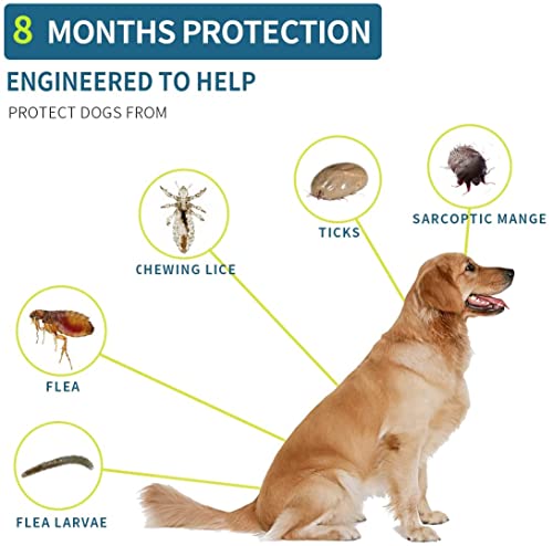 Advanllent Flea Collar for Dogs, Flea and Tick Collar for Dogs, One Size Fits All, 27 inch, 8 Month Protection, 1Pack, grey - Thumbnail 3
