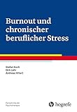 Burnout und chronischer beruflicher Stress (Fortschritte der Psychotherapie) - Stefan Koch, Dirk Lehr, Andreas Hillert 