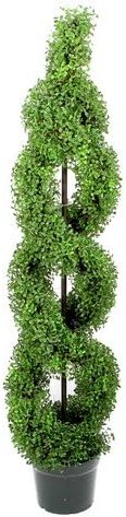 Admired By Nature GTR4631-NATURAL Artificial Boxwood Leave Double Spiral Topiary in Plastic Pot, Green - 5 ft.