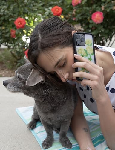Image of Wildflower Cases - Compatible with iPhone 16 | Protective Black Bumper, 6.5ft Drop Test Certified, Women Owned Small Business | Floral Nature Green Aesthetic Trendy | Yellow Roses