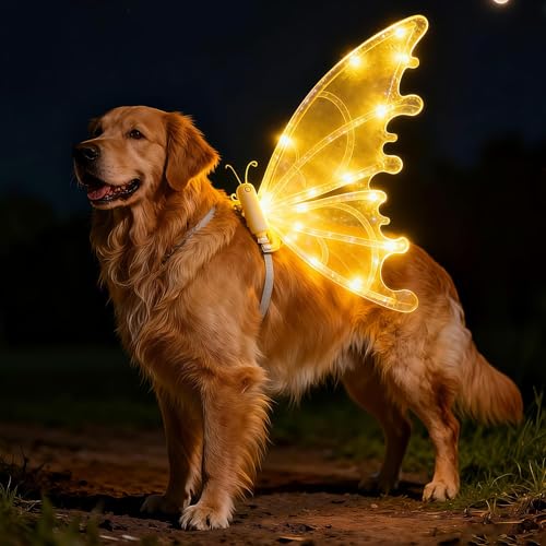 Glowing Fairy Wings for Dogs | Dog with LED Lights (Suitable for Medium to Large Dogs) Transform Your Beloved pet into a Butterfly Perfect for parades and Photo Opportunities