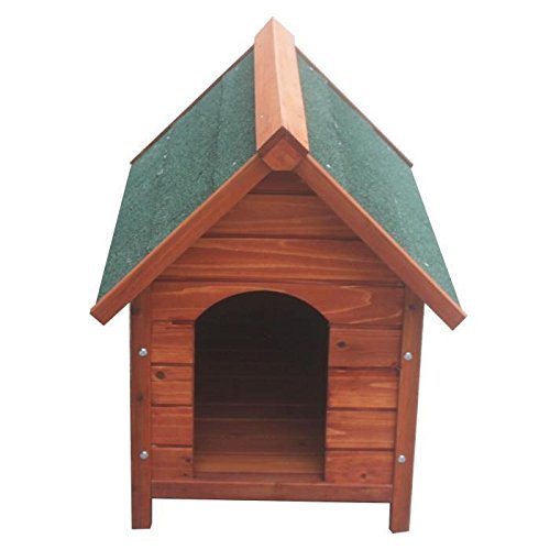 Poils & Plumes Niche Salto Taille S Cover