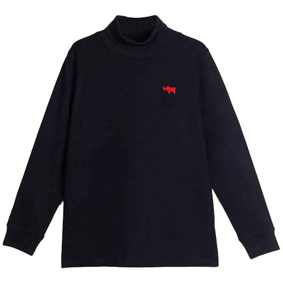 STOP by Shoppers Boys Regular Fit Turtle Neck Sweatshirt (A20710BTUR033-P)