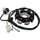 Stator für Lichtmaschine 139QMB/A GY6 50ccm