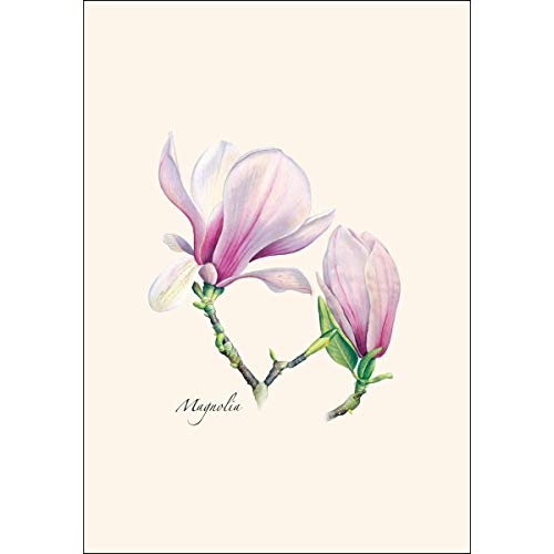 Image of Earth Sky + Water - Magnolia Notecard Set - 8 Blank Cards with Envelopes