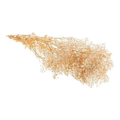 HOOTNEE Dried Babysbreath Flower Bouquet Bundle of Natural Dried Flowers for Home Decor Table Centerpieces Weddings and Crafts Floral Arrangements for All Year Use