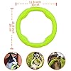 Dog Flying Ring Toys