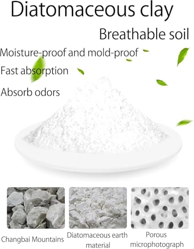 Image of Rouly 5 Packs Diatom Drying Rod Stick Absorb Absorption Rod Desiccant Water Absorption Keep Dry Stick Deodorization Gift,Moisture-Proof Clothing, Repetition Use