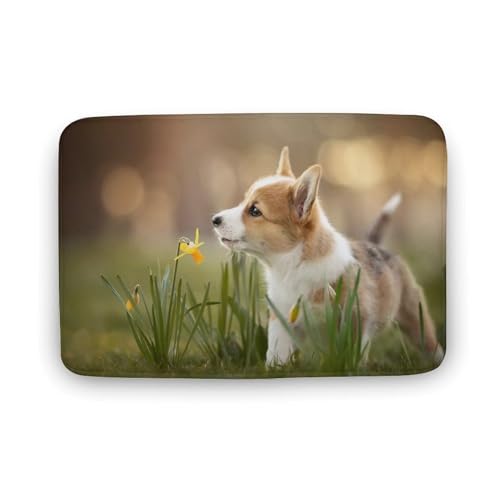 Č  L  oX}bg \tg􂦂 z  փ}bg  O   \ ~ Aj LN^[ @}bg   ʏ