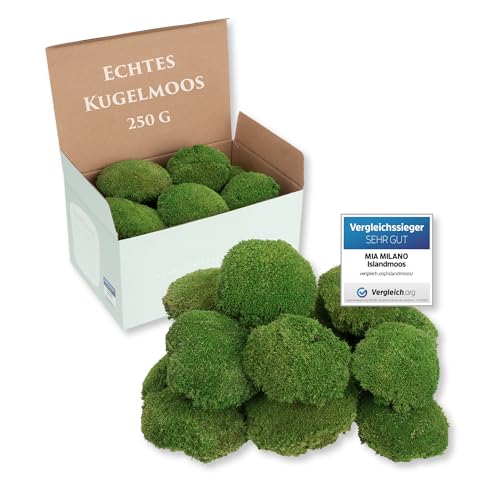 Kugelmoos konserviert | Echtes Bollenmoos für Moosbilder | Haltbares Moos...