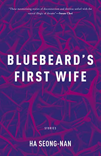 Bluebeard's First Wife view 2