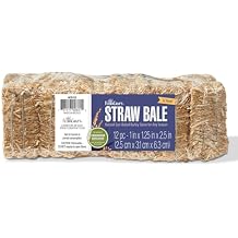 FloraCraft 12 Piece Decorative Straw Bale 1 Inch x 1.25 Inch x 2.5 Inch Natural