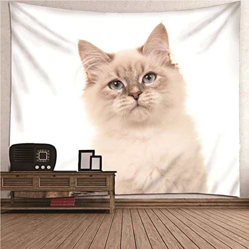 Tapisserie murale chat mignon Isdreem en coton brun clair 300x250cm