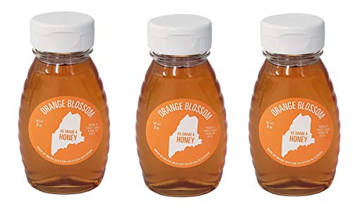 Miel Wild Maine Orange Blossom - 8 oz (Orgánica y sin gluten) (3 Pack) miniatura 1