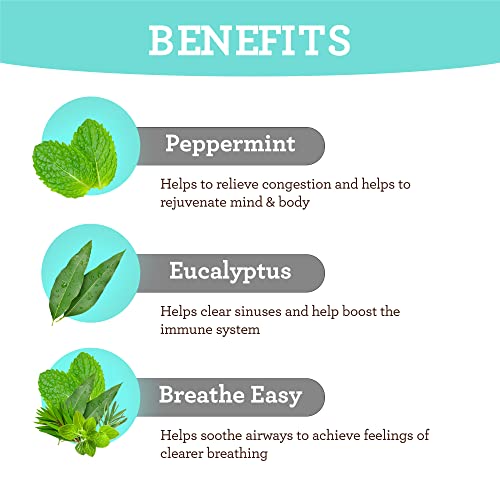 Gurunanda Breathe Essential Oil Sets, 100% Pure Therapeutic, Ease Congestion, Sinus & Cold, Perfect For Diffusers, Aromatherapy Eucalyptus, Breathe Easy, Peppermint 10 Ml Each 0.34 Fl Oz Pack Of 3 #TOP2