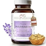 Phoenix der Lebenskraft