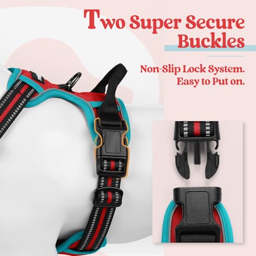 Image of rabbitgoo Dog Harness No Pull with 2 Leash Clips, Adjustable Soft Padded, Reflective Oxford No Choke Pet Vest with Easy Control Handle for Large Dogs, Red & Teal, L