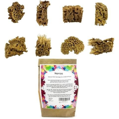 NAROA Natural Sea Sponges for Painting Cover