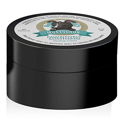 Pawsitively Soothing All Natural Healing Lotion for Dogs – Stops Itching, Redness, and Irritation Pawsitively Soothing All Natural Healing Lotion for Dogs – Stops Itching, Redness, and Irritation