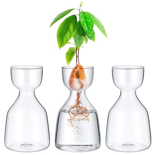 3 Pcs Acorn Vases Glass Avocado Vase Avocado Glass Vase for Growing Hydroponics Terrariums Pot Deco Indoor Bulb Vasees Propagation Vases for Home Table Desk Indoor Decor Gardening Lover Gifts