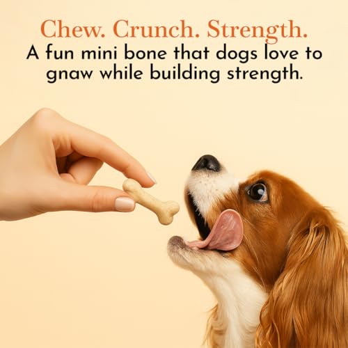 Image of O'Dog Premium Natual Dog Treat Mini White Calcium Bone for Puppies and Dogs Treat, Dog Snacks for Pets, Dog Biscuit (100g)
