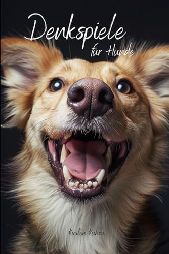 Denkspiele für Hunde