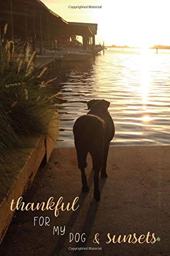Thankful For My Dog And Sunsets: Dog and Outdoor Lover's 6x9 Combo Dot Grid Plus Lines (Dog + Me 6x9)