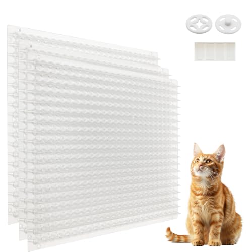 Large-Coverage Transparent Training Mat Set