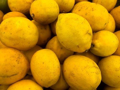 Fresh Yellow Sorrento Lemons By RawJoy Farm