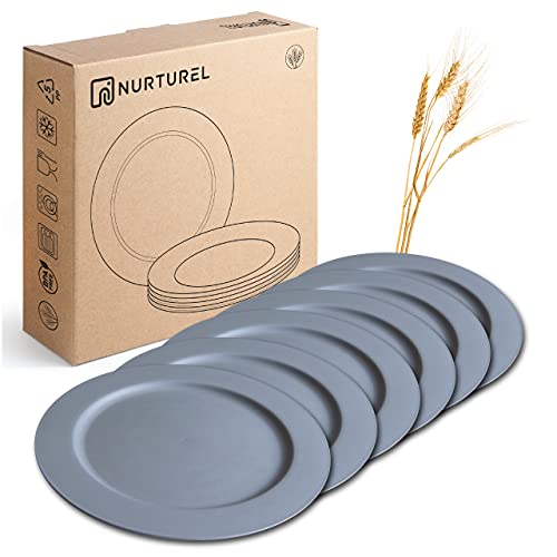 10 Best 10 Luminarc Microwave Safe Review And Buying Guide of 2021