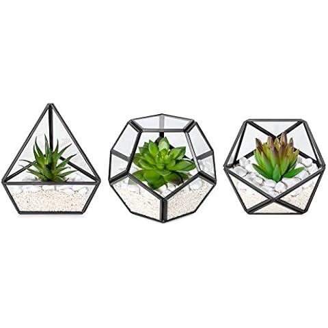 Mkono 3 Pack Artificial Succulent in Glass Terrarium Cover
