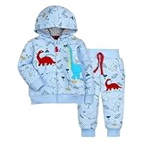 Generisch Baby Jungen Kleidung Kleinkind Jungen Winter Outfits Dinosaurier Druck Reißverschluss Hoodie Tops Trainingsanzug Hosen Set (Sky Blue, 2-3 Years)