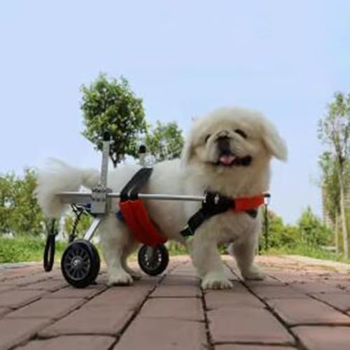 Chariot de mobilité pour chien Red Dog pour soulager la paralysie des pattes arrières