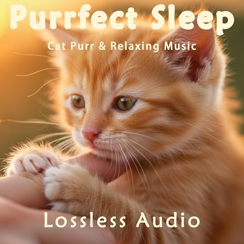 8 小时 - 雨雷气候冥想｜漂浮在太空中的钢琴曲｜猫咪呼噜声助眠｜深度放松｜完美睡眠