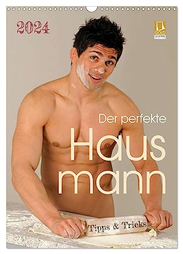 Der perfekte Hausmann - Tipps & Tricks (Wandkalender 2024 DIN A3 hoch),...