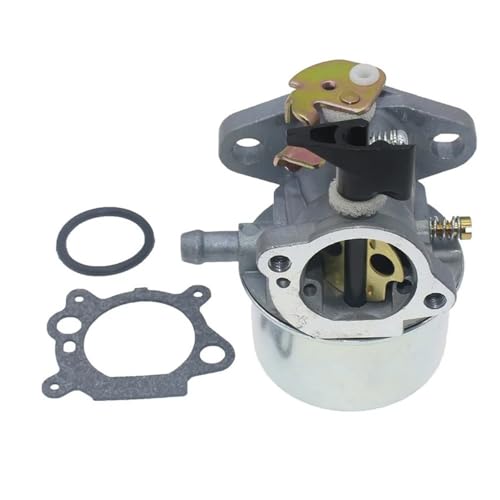 Carburateur 498965 494216 493422 moteur tondeuse à gazon