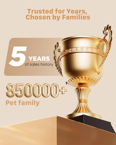 Katzenbrunnen Trinkbrunnen für Katze: 2L Katzenbrunnen für Katzen - Katzen Trinkbrunnen Super Silent - Eingebautes LED Licht - Aktivkohlefilter - Durchsichtiger Wassertank - Schwarz