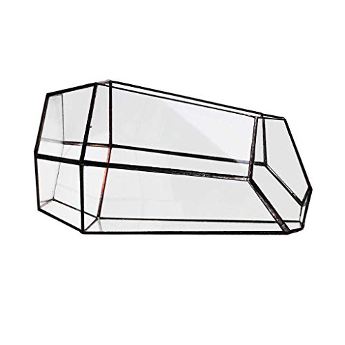 Vase hexagonal en verre pour micro paysage et terrarium de plantes