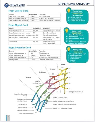 Image of Johari MBBS Anatomy Champions Vol 1 & 2 + Physiology in 20 Days Notes | Complete Medical Exam Preparation Guide | Flowcharts, Quick Revision, Viva, MCQs & In-Depth Concepts for MBBS Students Medicos
