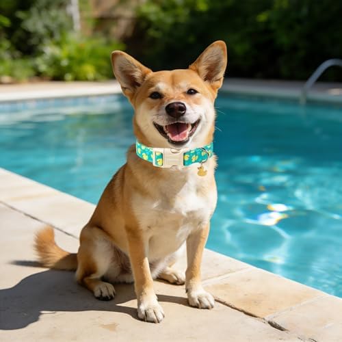 DOGWONG Ducky Pattern Cute Collar, Spring Summer Female Male Collars Pets Gift Adjustable Heavy-Duty Duck Pet Collars for Medium Dogs, Neck 14-21 inches — view 4