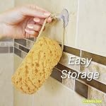 PARADISO Evriholder Sea Foam Body Sponge for Scrubbing and Exfoliating, Set of 2, Large Srubbing Loofah for A Relaxing Shower or Bath - Image 3
