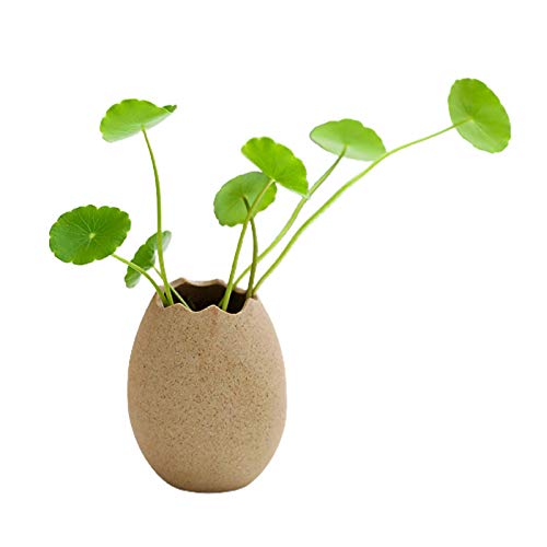 æ— Petit vase en céramique en forme d'œuf craquelé, pot de fleurs en céramique pour petites fleurs, bonsaï, cactus, orchidées (sans plantes)