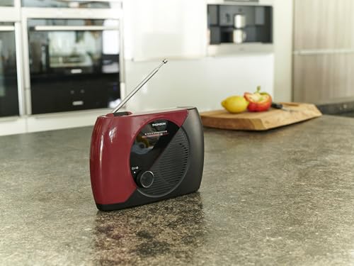 Radio analogique FM RT353 - vue 3