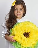 Birthday Party Decorations...