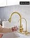 Kitchen Faucet and Water Filter Faucet Combo, WOWOW Stainless Steel Kitchen Sink Faucet with Drinking Water Faucet for Reverse Osmosis or Water Filtration System, Brushed Gold