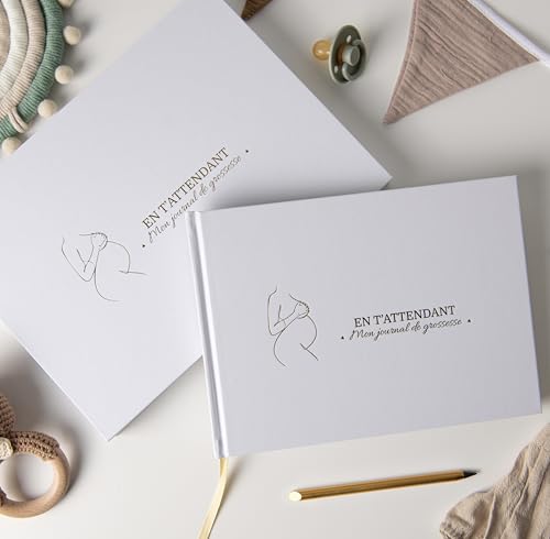 PROENMU Diária gravidez lápis metálico caixa conservadora com fecho magnético, presente exclusivo para gravidez. (Frances)