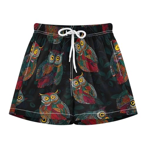Bolaz Toddler Boys Swimwear Swim Trunks with Compression Liner 4T Ethnic Owl